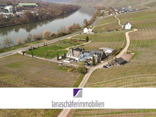 Haus zum Kauf 5.000 m² Grundstück Graach Graach an der Mosel 54470