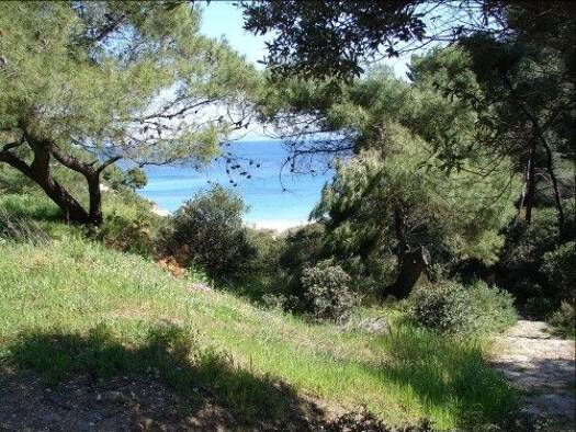Villa zum Kauf 1.200.000 € 6 Zimmer 160 m² 2.650 m² Grundstück Municipality of Sithonia 63078