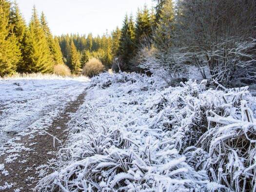 Grundstück zum Kauf 165.012 € 331 m² Grundstück Grafenwald Bottrop 46244