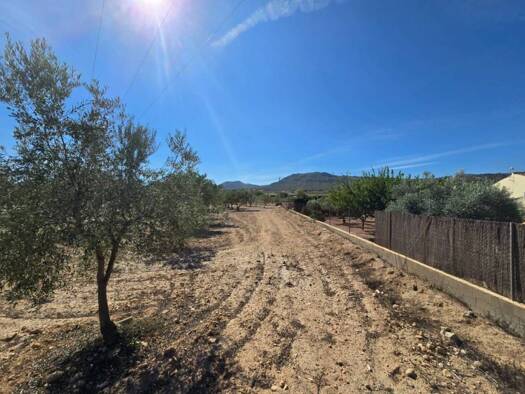 Acker-/Waldstück zum Kauf 60.500 € Salinas 03638