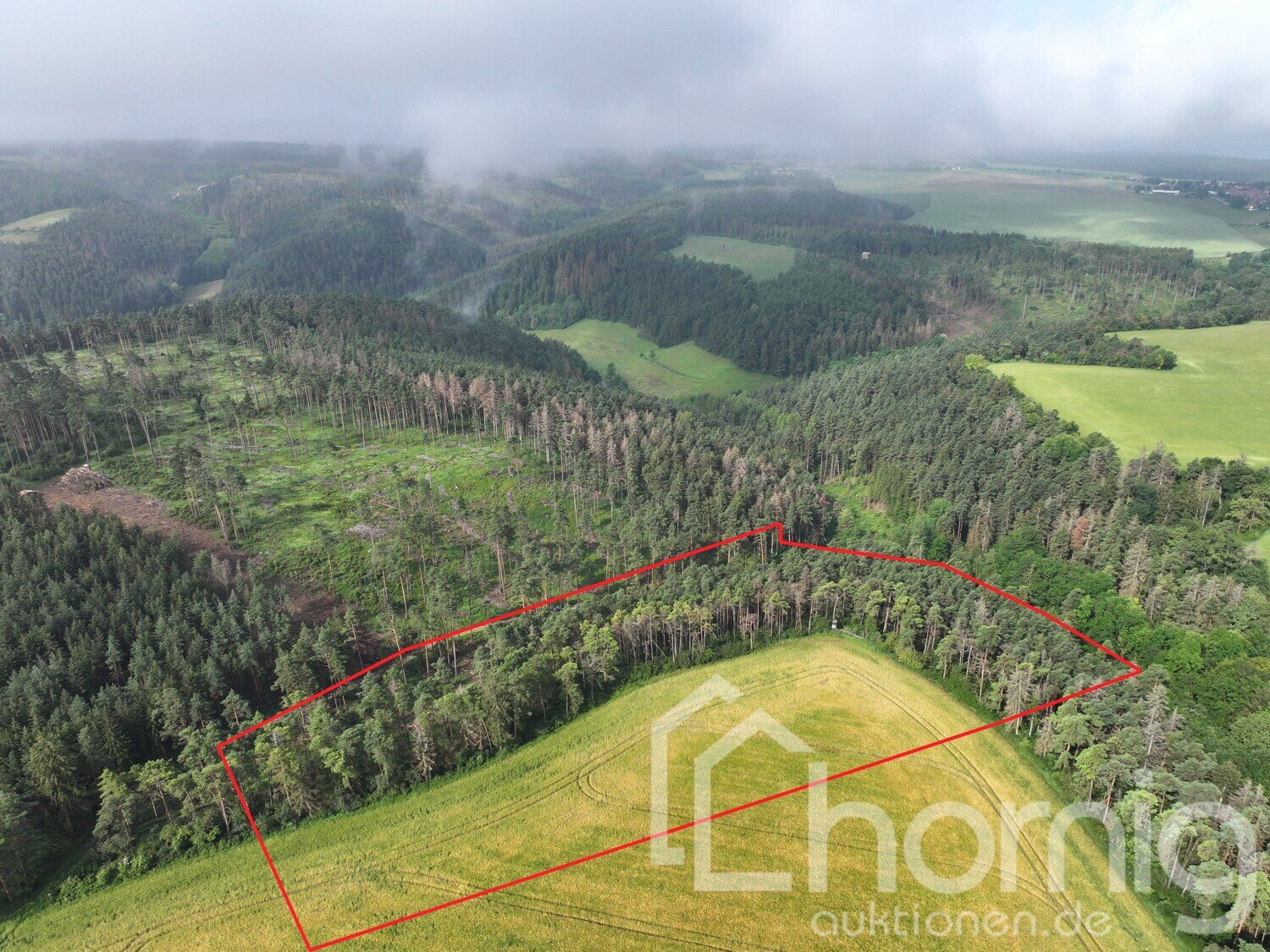 Land-/Forstwirtschaft zum Kauf 27.500 € 30.753 m²<br/>Grundstück Teichröda Rudolstadt / Teichel 07407