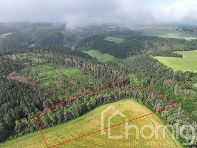 Land-/Forstwirtschaft zum Kauf 27.500 € 30.753 m² Grundstück Teichröda Rudolstadt / Teichel 07407