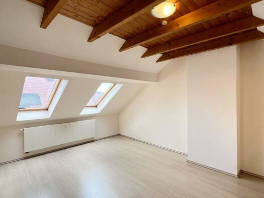 Wohnung zur Miete 695 € 2 Zimmer 90 m² Borken 46325