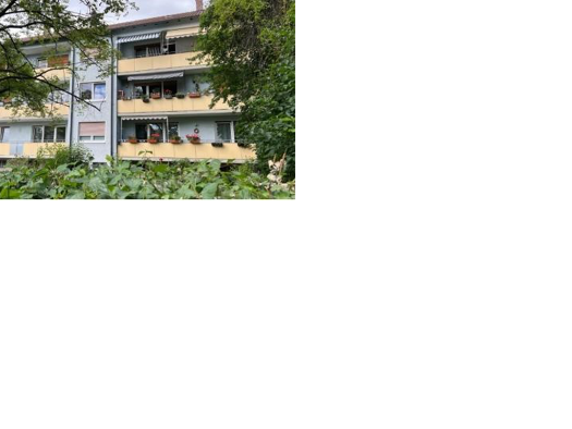 Wohnung zur Miete 890 € 3 Zimmer 80 m² Geschoss 3/4 frei ab sofort Offenhausen Neu-Ulm 89231