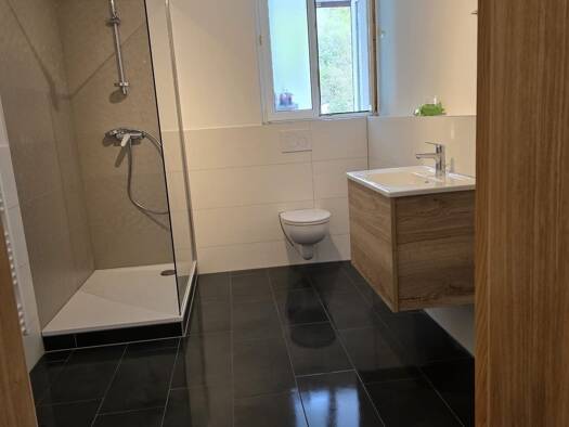 Wohnung zur Miete 770 € 2 Zimmer 65 m² frei ab sofort Zell Zell im Wiesental 79669