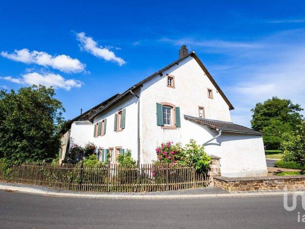 Haus zum Kauf 219.000 € 8 Zimmer 210 m² 1.053 m² Grundstück Birgel 54587