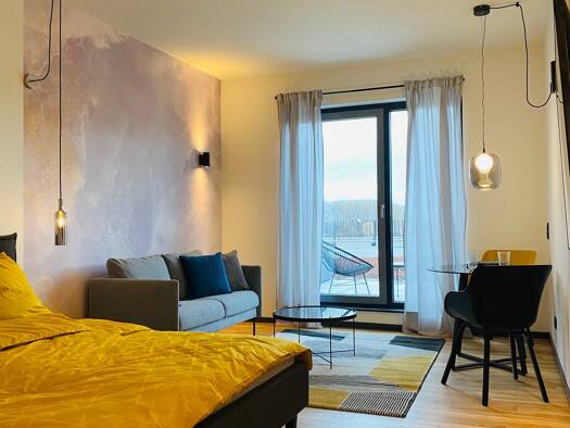 Studio zur Miete Wohnen auf Zeit 1.050 € 1 Zimmer 36 m² frei ab sofort Roßdorf 64380
