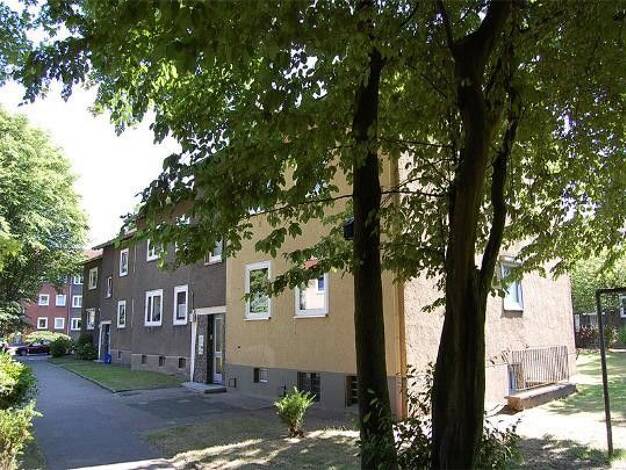 Wohnung zur Miete 480 € 3,5 Zimmer 64,9 m² 1. Geschoss frei ab 05.09.2026 Ulmenstraße 17 Bertlich Herten 45701