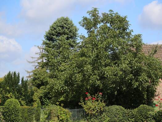 Grundstück zum Kauf 1.000.000 € 675 m² Grundstück Strümp Meerbusch 40670