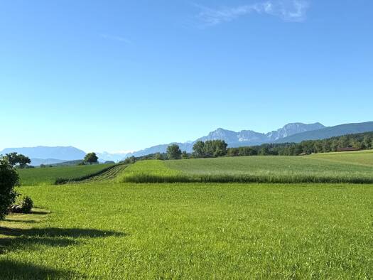 Grundstück zur Miete 423 m² Grundstück Petting 83367