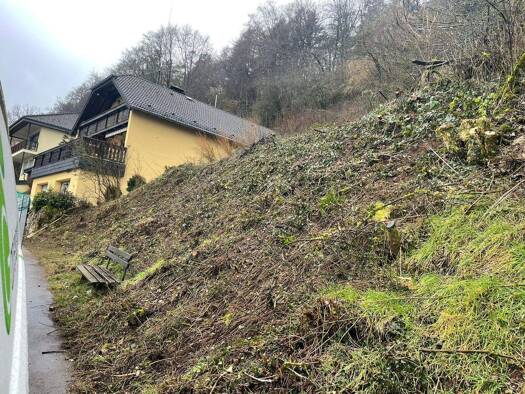 Grundstück zum Kauf 22.000 € 801 m² Grundstück Schönecken 54614