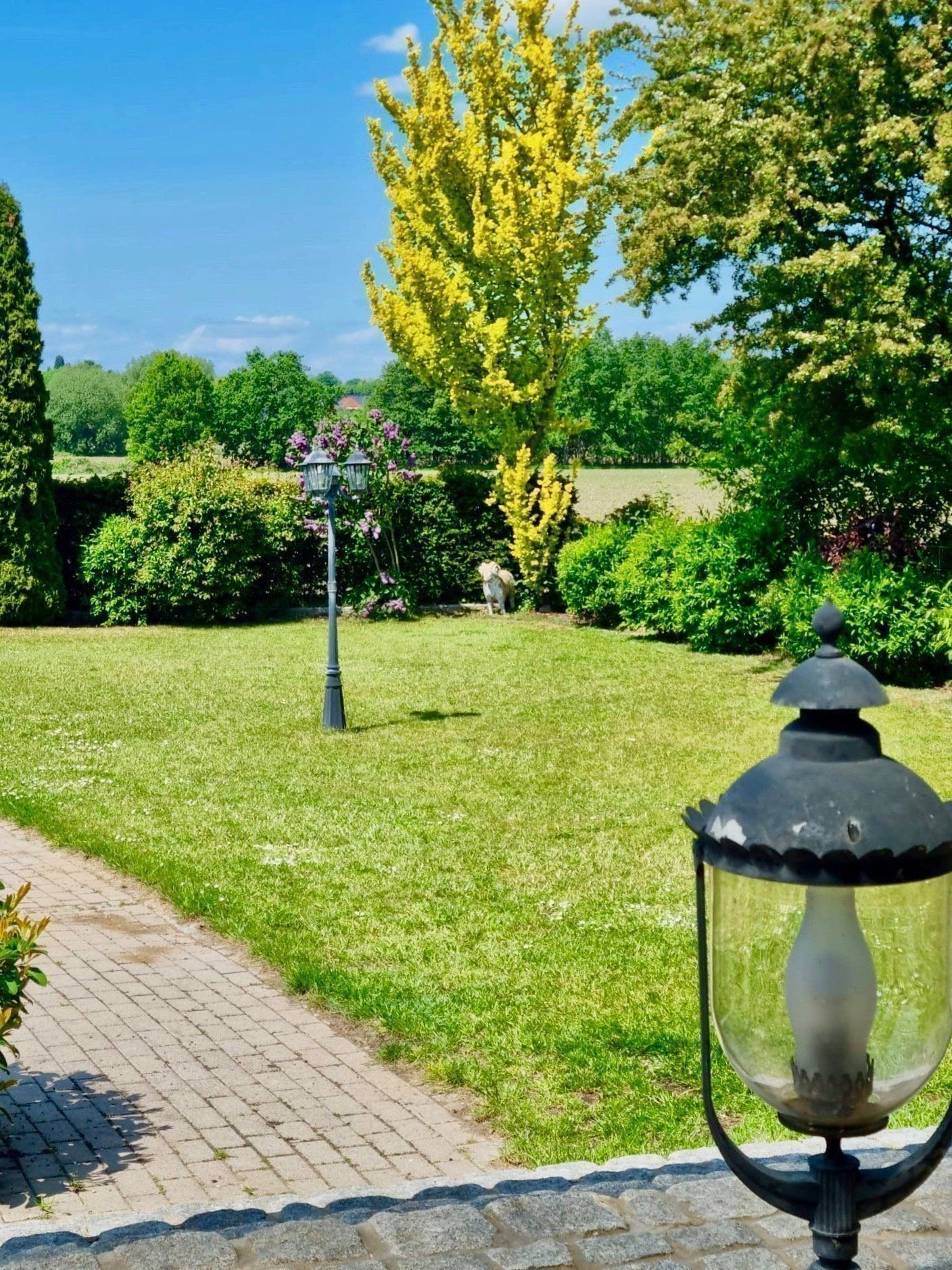 Villa zum Kauf 1.990.000 € 5 Zimmer 265 m²<br/>Wohnfläche 1.088 m²<br/>Grundstück ab sofort<br/>Verfügbarkeit Rellingen 25462