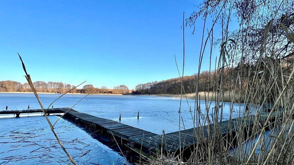 Bungalow zum Kauf 69.000 € 2 Zimmer 40 m² 420 m² Grundstück Cammin Cammin (bei Burg Stargard) 17094