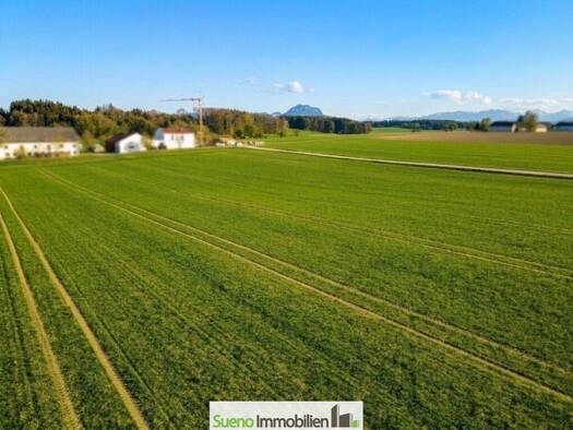 Landwirtschaftliche Fläche zum Kauf 48.000 € 1.992 m² Grundstück Bad Wimsbach-Neydharting 4654