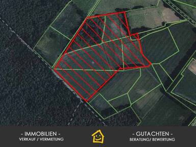 Landwirtschaftliche Fläche in Messingen | immowelt