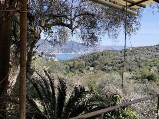 Einfamilienhaus zum Kauf 600.000 € 8 Zimmer 165 m² 15.000 m² Grundstück Santa Margherita Ligure 16038