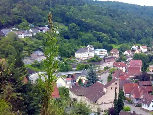 Terrassenwohnung zur Miete 940 € 3 Zimmer 92 m² Geschoss 3/4 frei ab sofort Neuenbürg 75305