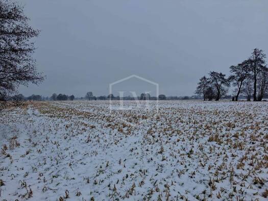 Landwirtschaftliche Fläche zum Kauf 210.000 € 42.111 m² Grundstück Innenstadt Aurich 26603