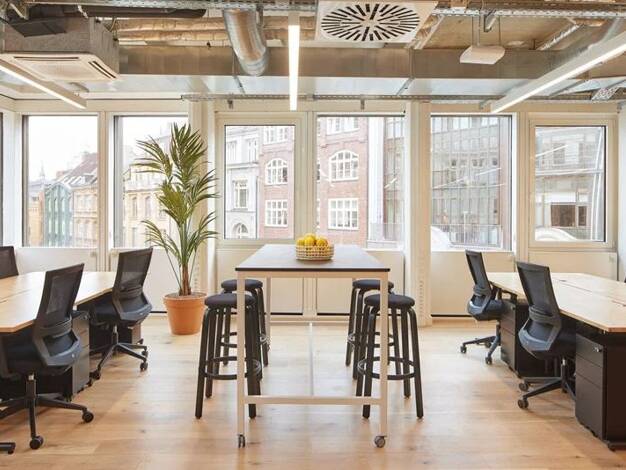 Bürofläche zur Miete provisionsfrei 264 € 4 m² Bürofläche Gerhofstraße Neustadt Hamburg 20354