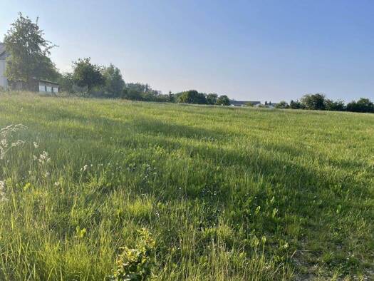 Land-/Forstwirtschaft zum Kauf 105.063 € 50.030 m² Grundstück Eigelscheid Winterspelt 54616