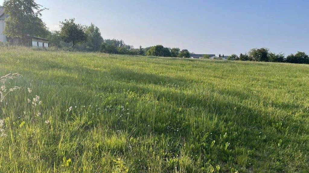 Land-/Forstwirtschaft zum Kauf 105.063 € 50.030 m² Grundstück Eigelscheid Winterspelt 54616