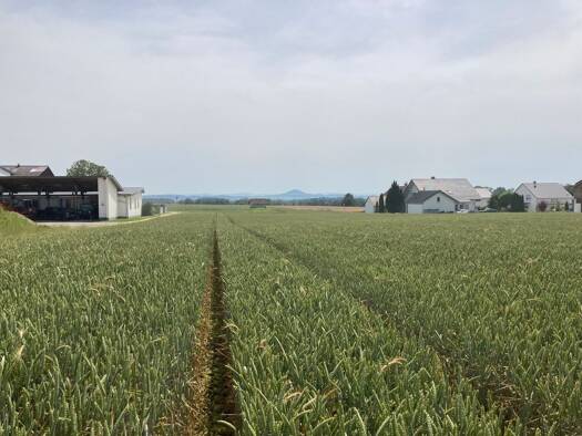 Grundstück zum Kauf provisionsfrei 230.000 € 653 m² Grundstück Pfersbach Mutlangen 73557