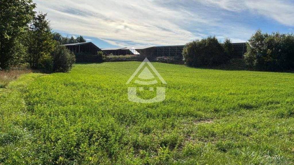 Gewerbegrundstück zum Kauf 150.000 € 6.038 m² Grundstück Hohenberg Hohenberg an der Eger 95691