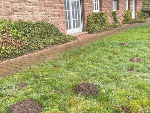 Wohnung zur Miete 1.040 € 3 Zimmer 127 m² Nideggen 52385