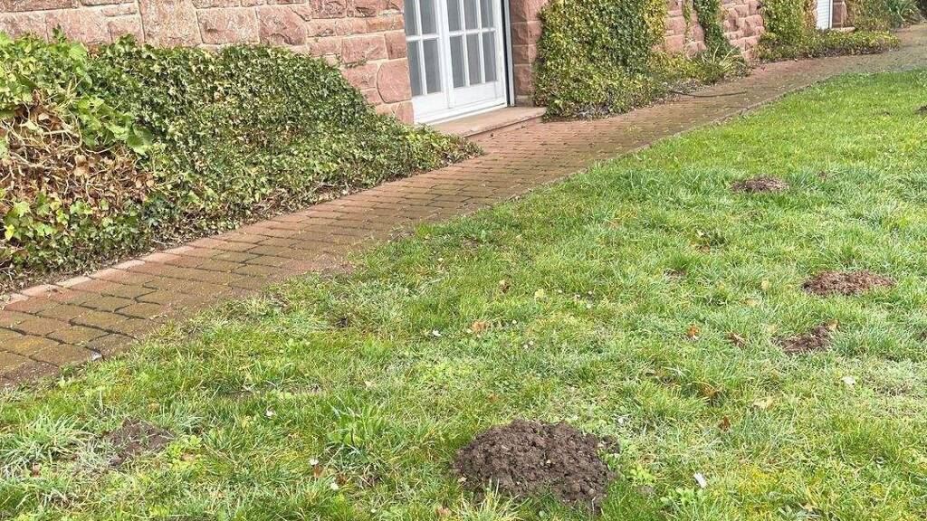 Wohnung zur Miete 1.040 € 3 Zimmer 127 m² Nideggen 52385