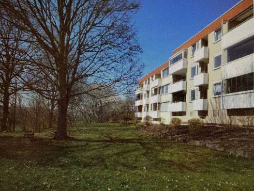 WG-Zimmer zur Miete 575 € 3 Zimmer 75 m² Geschoss EG/3 frei ab sofort Northeim 37154