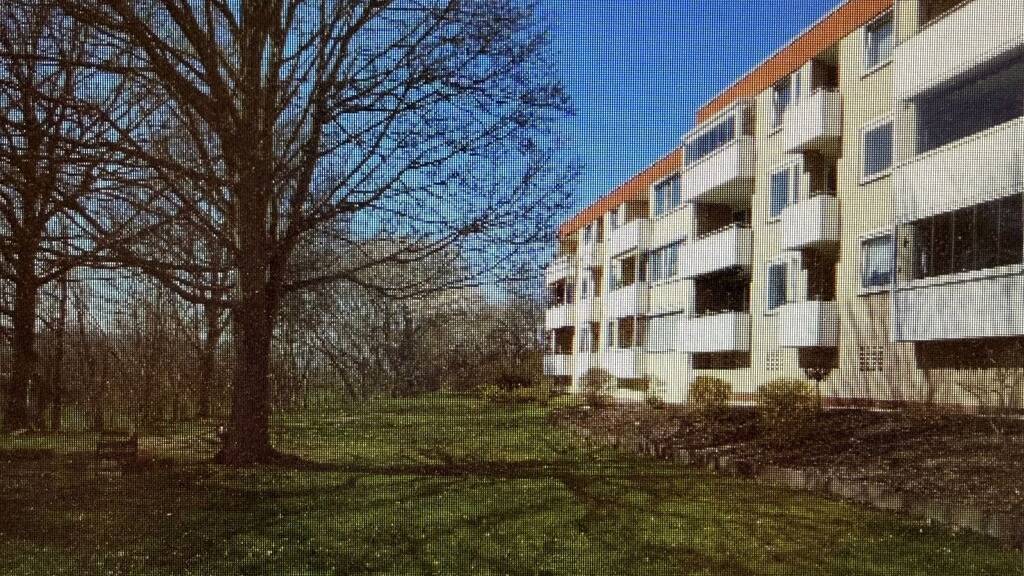 WG-Zimmer zur Miete 575 € 3 Zimmer 75 m² Geschoss EG/3 frei ab sofort Northeim 37154