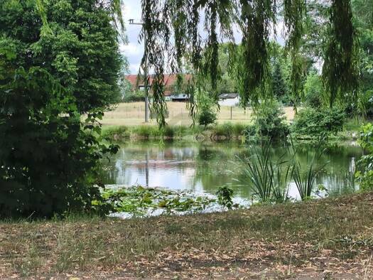 Grundstück zum Kauf 60.628 € 659 m² Grundstück Weidenhain Dreiheide 04860