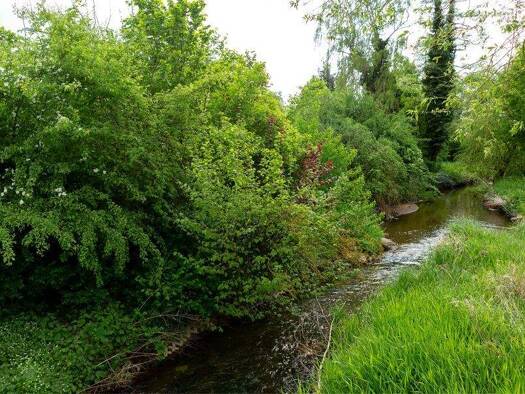 Terrassenwohnung zum Kauf - Neubau provisionsfrei 722.691 € 4 Zimmer 105,5 m² EG frei ab sofort Großgründlach Nürnberg 90427