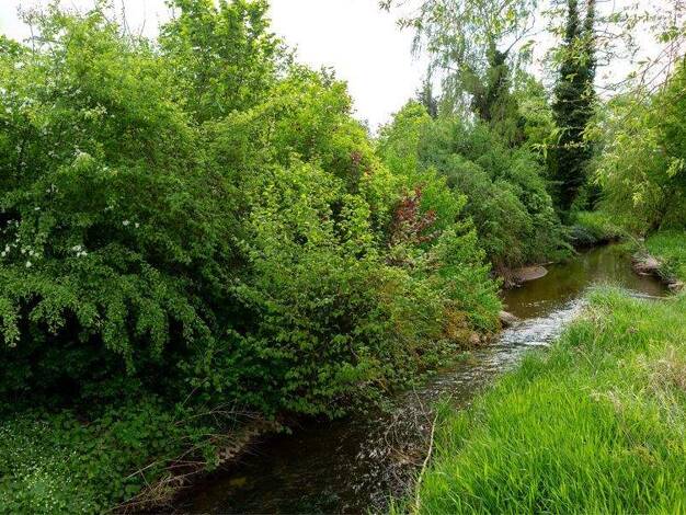 Terrassenwohnung zum Kauf - Neubau provisionsfrei 722.691 € 4 Zimmer 105,5 m² EG frei ab sofort Großgründlach Nürnberg 90427