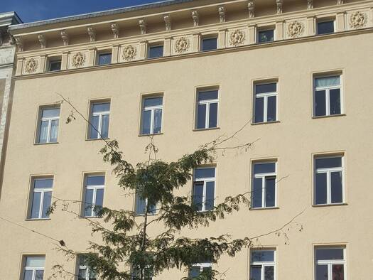 Wohnung zur Miete 540 € 2 Zimmer 65 m² Geschoss 2/4 frei ab 01.03.2026 Am Steintor 5 Innenstadt Halle (Saale) 06112