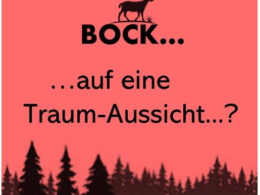 Haus zum Kauf 1.020.000 € 5 Zimmer 140 m² 1.199,2 m² Grundstück Saig Lenzkirch 79853