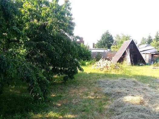 Grundstück zum Kauf provisionsfrei 285.000 € 960 m² Grundstück Großpösna Großpösna 04463