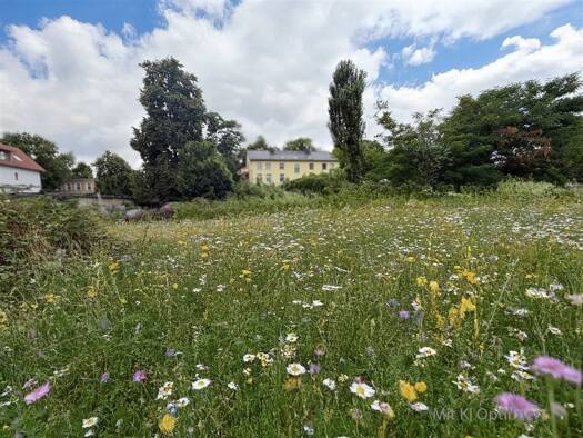 Grundstück zum Kauf 650.000 € 2.500 m² Grundstück Sudenburg Magdeburg 39112