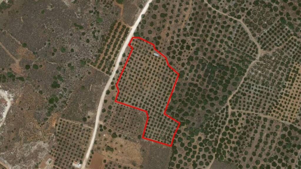 Land-/Forstwirtschaft zum Kauf 150.000 € 11.000 m² Grundstück Kreta