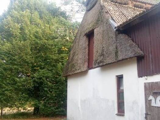 Bauernhaus zur Miete 1.280 € 1 Zimmer 90 m² 18.000 m² Grundstück frei ab sofort Holste Holste 27729