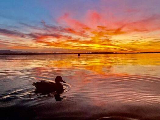 Wohnung zum Kauf 6 Zimmer 783,8 m² Eggstätt 83125