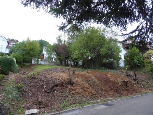 Grundstück zum Kauf 400.000 € 622 m² Grundstück Dilsberg Neckargemünd 69151