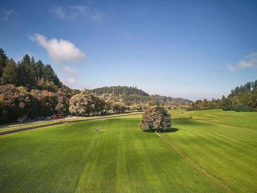 Mehrfamilienhaus zum Kauf 2.120.000 € 14 Zimmer 405 m² 528 m² Grundstück frei ab sofort Schauinslandstraße 18 Günterstal Freiburg im Breisgau 79100