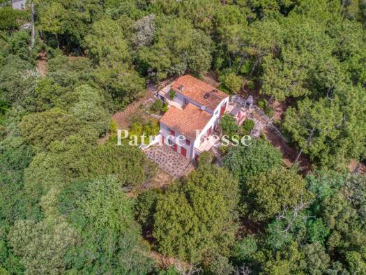 Einfamilienhaus zum Kauf 745.000 € 6 Zimmer 135 m² 12.055 m² Grundstück Saint-Georges-d'Oléron 17190