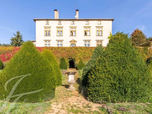 Einfamilienhaus zum Kauf 750.000 € 13 Zimmer 497 m² 17.572 m² Grundstück Saint-Jean-la-Bussière 69550