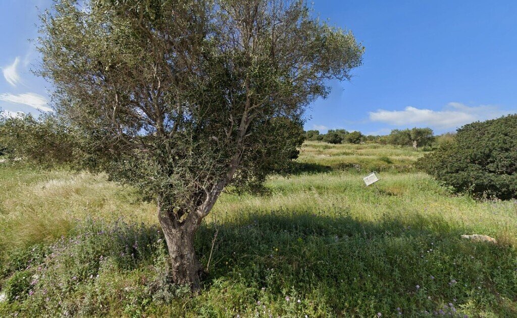 Land-/Forstwirtschaft zum Kauf 400.000 € 4.150 m²<br/>Grundstück Zakynthos