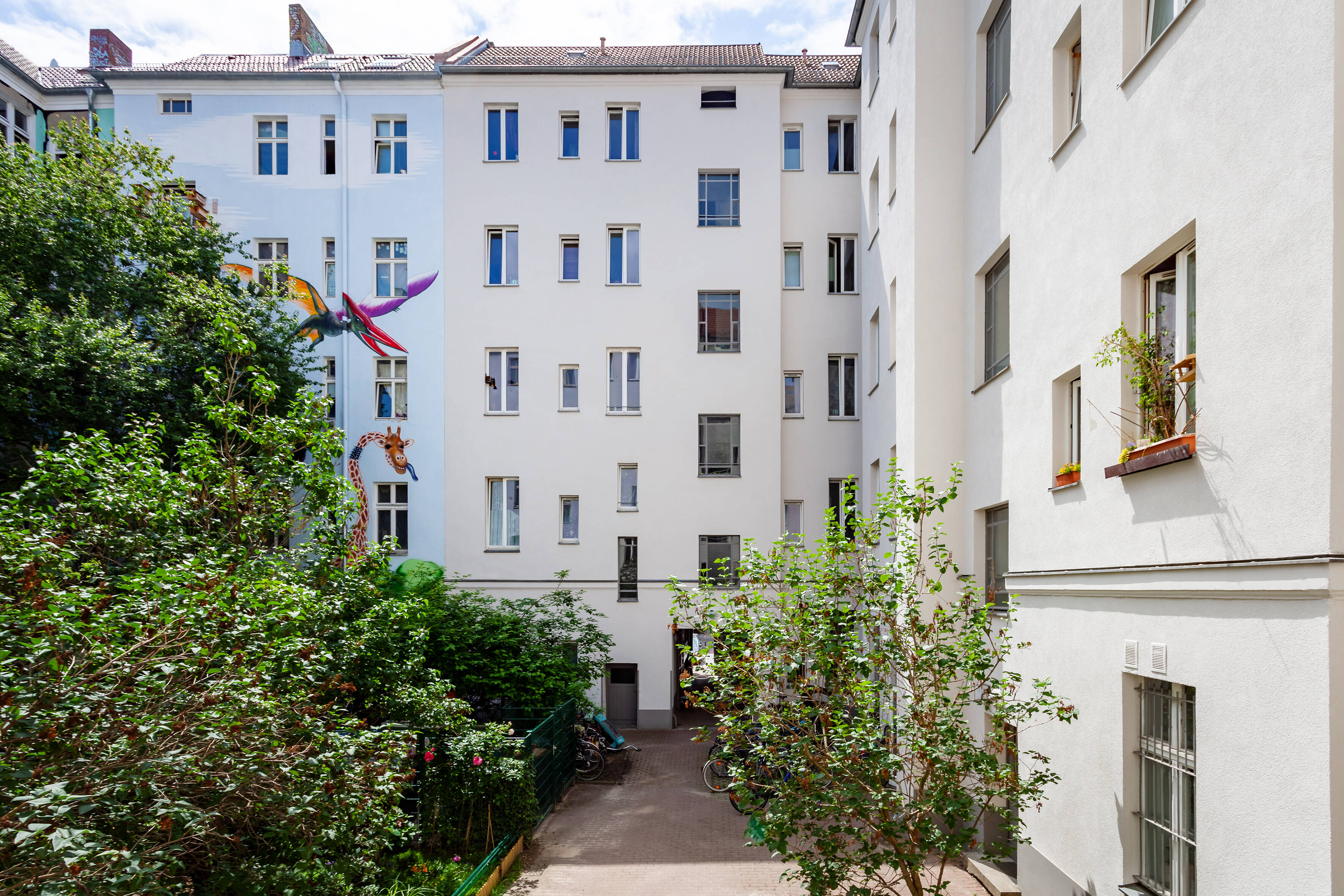 Property thumbnail 5