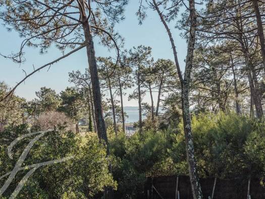 Einfamilienhaus zum Kauf 2.350.000 € 8 Zimmer 240 m² 1.321 m² Grundstück Centre Cap Ferret Lège-Cap-Ferret 33950