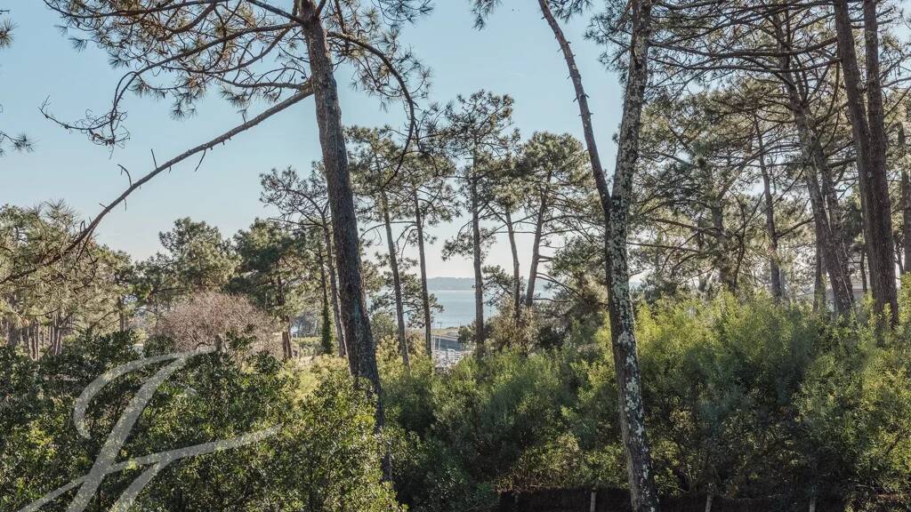 Einfamilienhaus zum Kauf 2.350.000 € 8 Zimmer 240 m² 1.321 m² Grundstück Centre Cap Ferret Lège-Cap-Ferret 33950