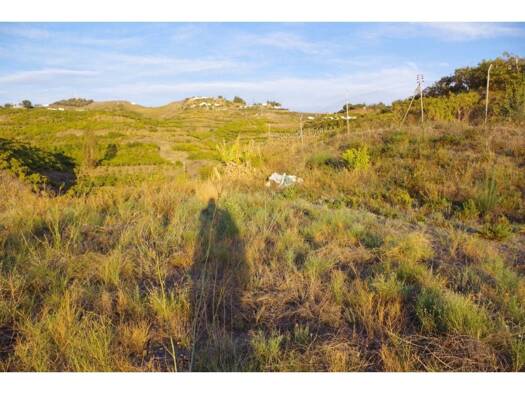 Acker-/Waldstück zum Kauf 99.000 € Algarrobo 29750